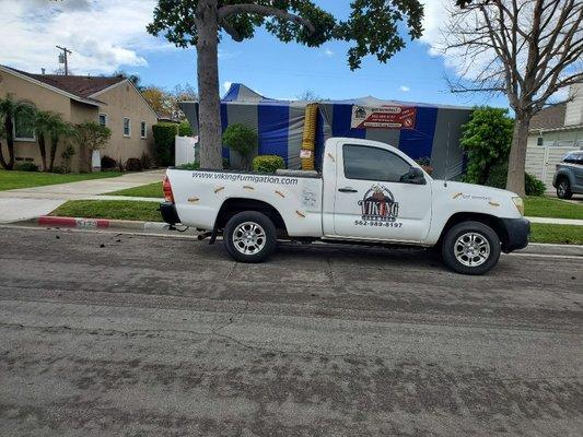 Drywood termites tenting