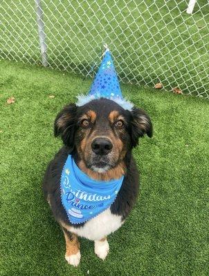 Daycare birthday celebrations