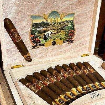 Oliva celebrates 135 years