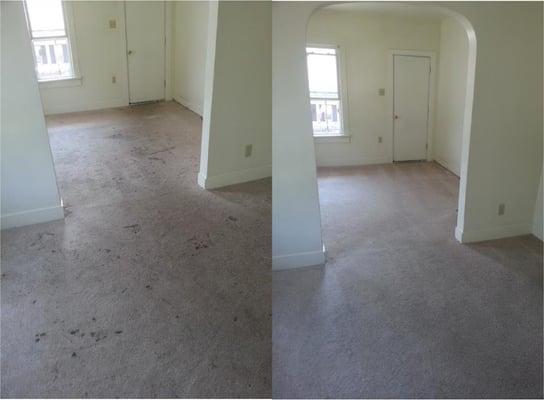 Before and After shot of our carpet cleaning work