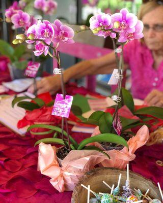 Mother's Day Orchid Giveaway- Delray beach