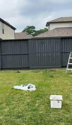 Fences painting after