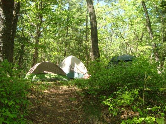 Tent & Hammock camping at Ely Lake Campground Southwest Michigan