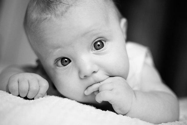 Newborn Portrait