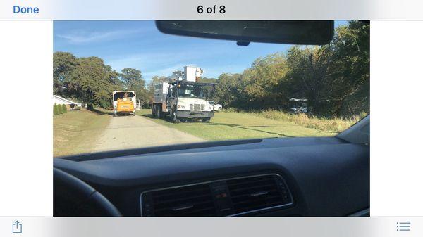 Gunnison tree company cutting where they don't have a work order or permit