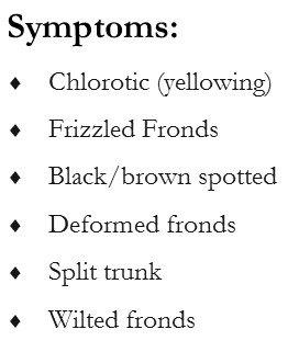 SYMPTOMS