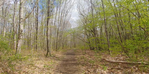 Maquoit Bay Conservation Land