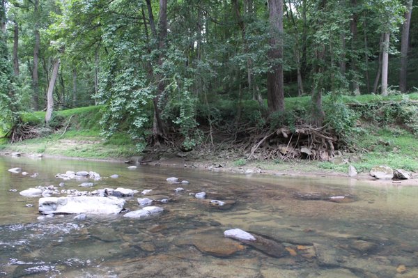 Stunningly gorgeous! Clear water. And peaceful!! Love all of Patapsco