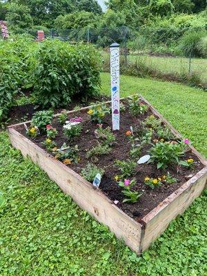 A children's garden that offers veggies to Northside Food Pantry