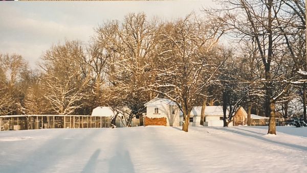 A very snowy evening 1996