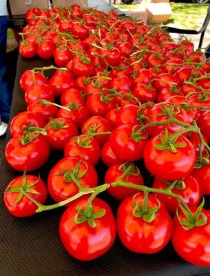 Kamuela Tomatoes. A thing of beauty