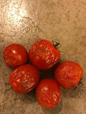 tomatoes 3 days after i picked up my order