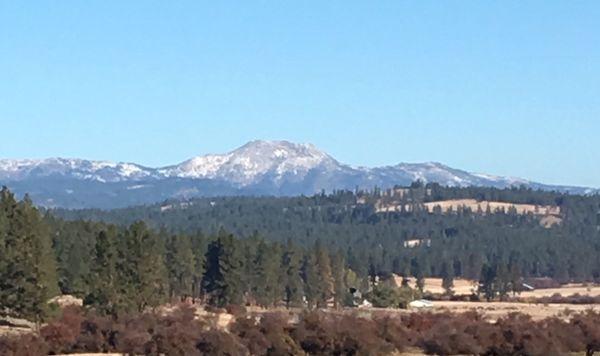 Pollock Mountain View from the venue