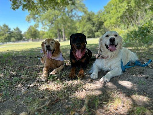 Fun at the park