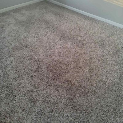 Carpet with glare from camera and standard indentations from furnitures