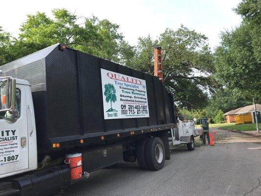 Quality Tree Specialist. They were friendly, fast and reasonable they will be our new tree service!