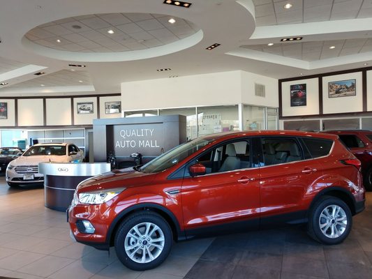 2019 Ford Escape on the showroom floor.