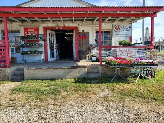 Duncanville Feed Store with our spring flowers and vegetables.