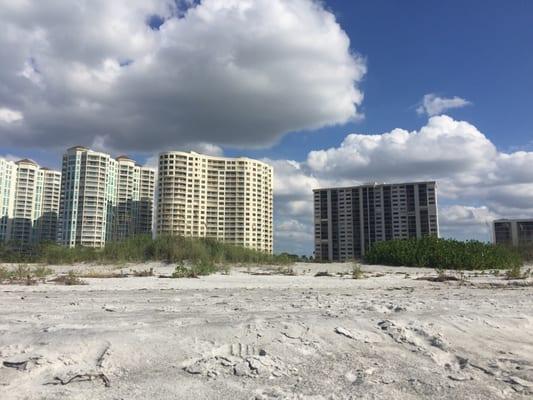 Landmark Towers At Sand Key Condo Association