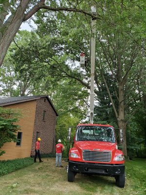 Removal of large tree branches over the house