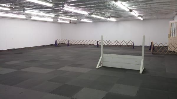 Another view of our back room, primary/competition ring.  Room is 40x60 with a full-size 40x50 ft ring and 10x40 ft crate/warm up space.