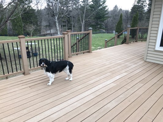 Deck & railings are spotless, just the discoloration from aging remains