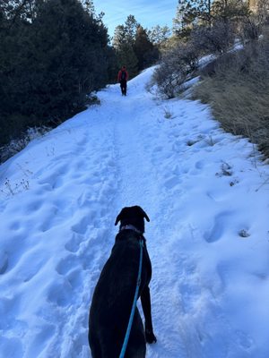 Reynolds Park Open Space