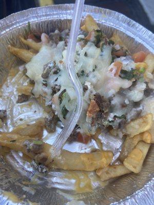 Small carne asada fries