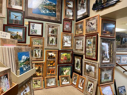 Beautiful framed photos