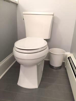 Kohler toilet