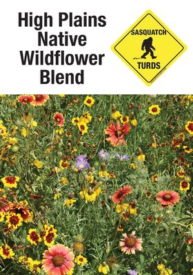 Native Wildflower Blends For Your Region