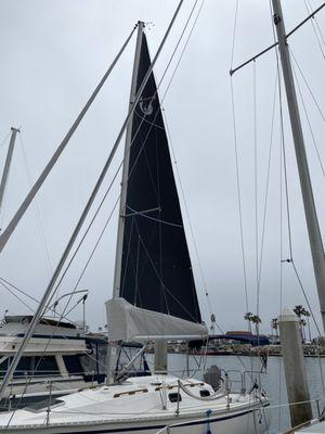 Hunter 34 New Black Challenge Dacron Mainsail with White Sunbrella Main Stack System From H2O Sails