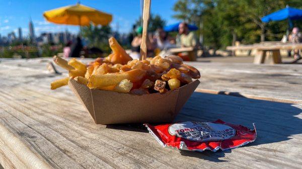 Plated Fries at Smorgasburg, $7 (shoestring fries, grilled onions, and special sauce)  on a sunny day