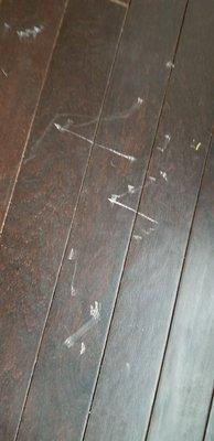 Damage done to our hardwood floors from worn chairs rented to us.