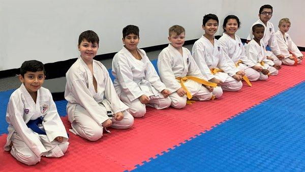 USA Karate Clubs