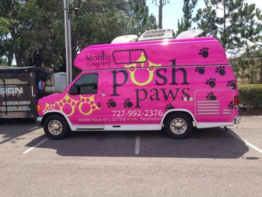 Posh Paws Van