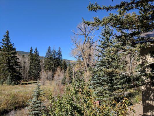 Carson National Forest mid-October north of Vadito, NM