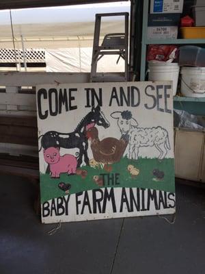 Lots of hand panted signs marking different barns