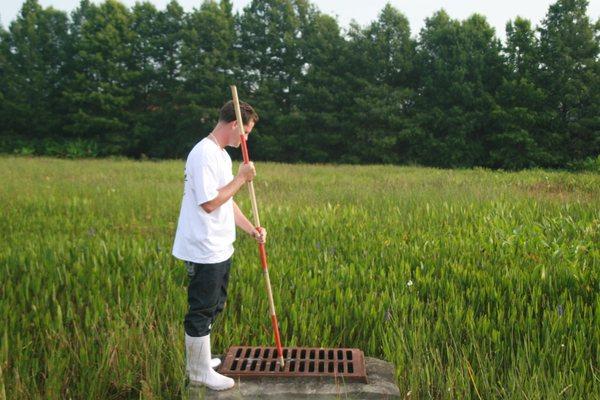 Stormdrain Inspection