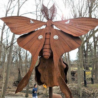 Harmony Afield - Indian Trail entrance by Bill Secunda 2019 - Luna Moth