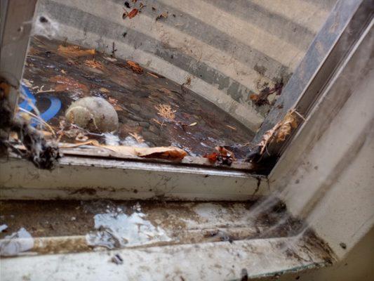 Window well flooded from outside water source.