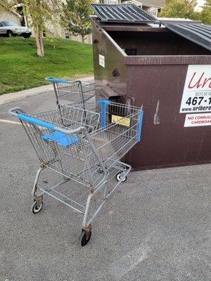 Waterbrook tenants regularly steal shopping carts from local retail stores, ditch them in an adjacent apartment complex parking lot.