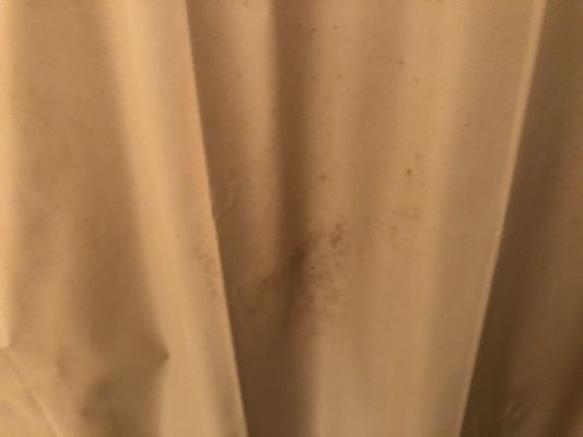 Patches of mold growing on shower curtains.