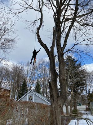 Cutting off some branches