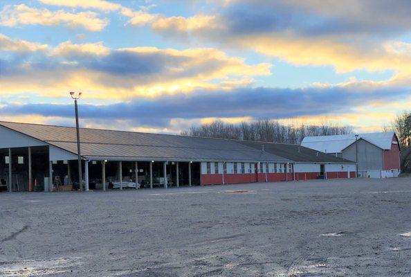 Auction Center at Wortendyke Road, Batavia