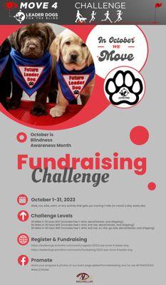 Fitness challenge for leader dogs in October for Blindness #eyemove4ld