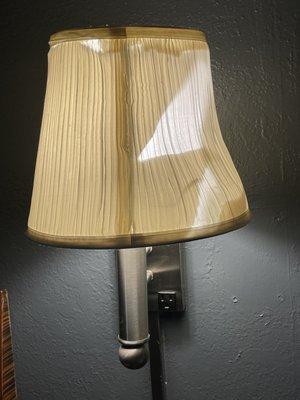 Another torn lamp shade