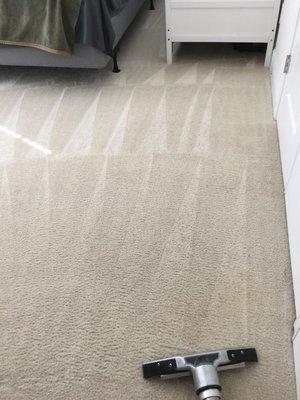 We provide exceptional carpet cleaning services orlando