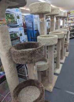 Cat trees available in store (picture taken from Facebook)