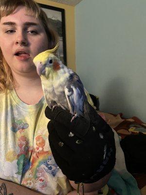 Our elderly cockatiel checked out good!